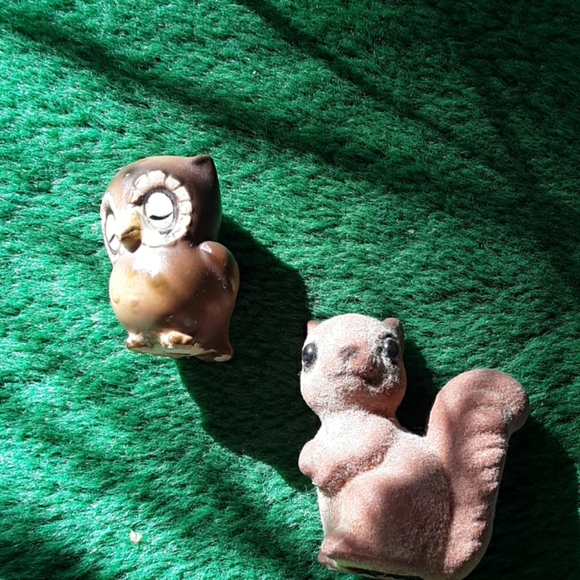 Perfect for terrarium decor - Picture 1 of 1